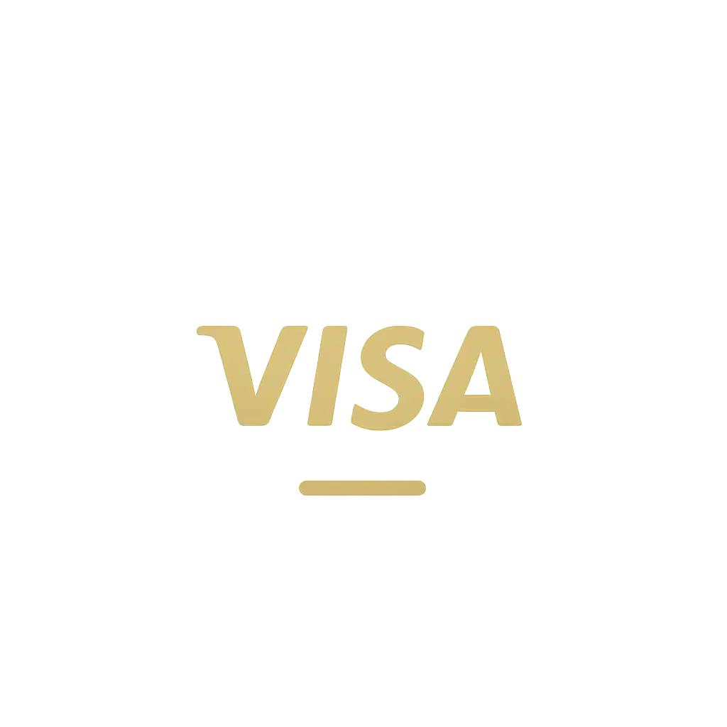 Visa icon
